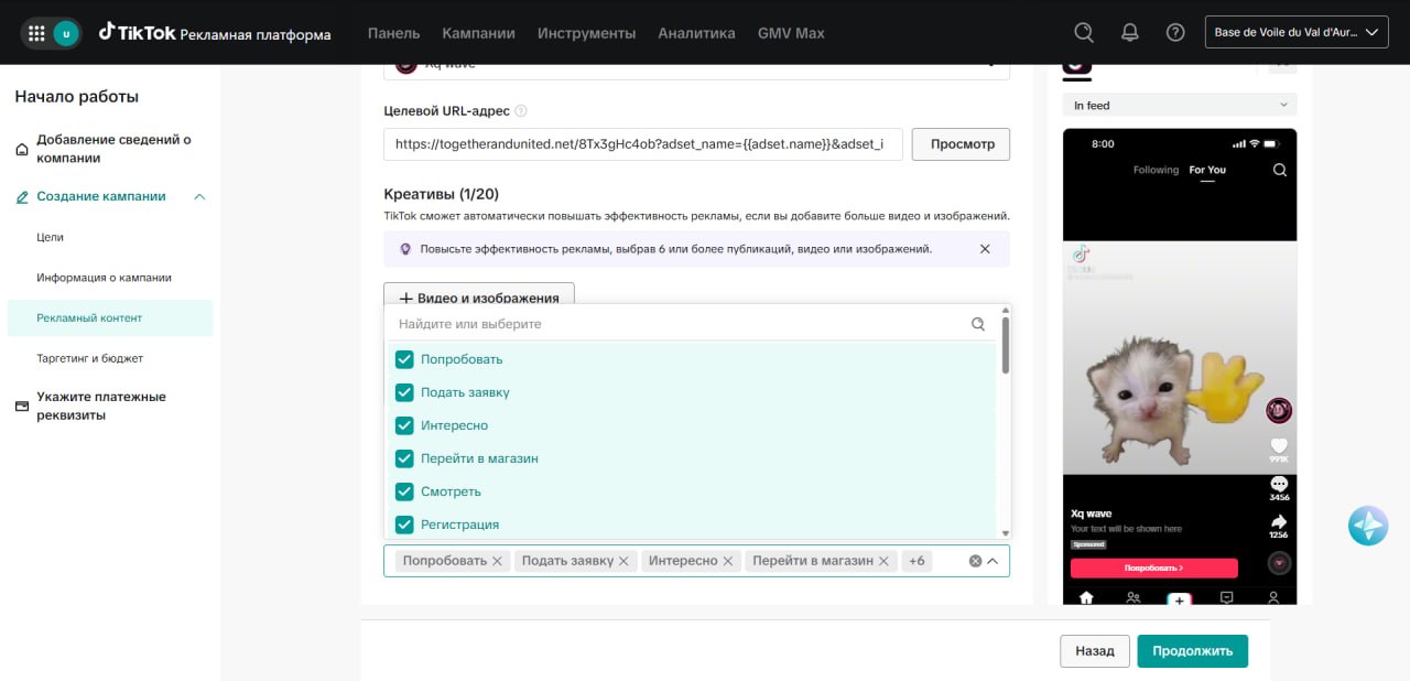 Step 13. Ad preview and CTA selection