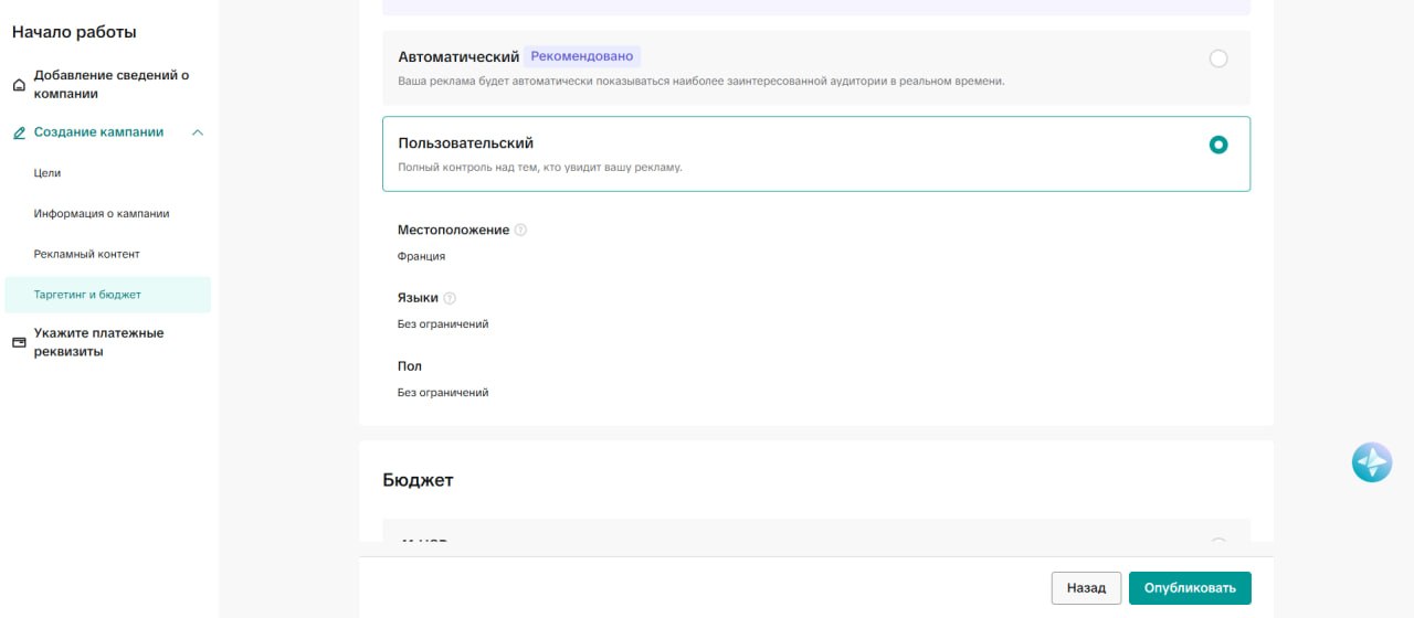 Step 15. Custom targeting: geo, language, and gender